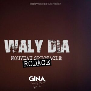 Waly Dia nouveau spectacle en rodage affiche