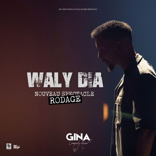 GINA COMEDY SHOW - WALY DIA - format carré